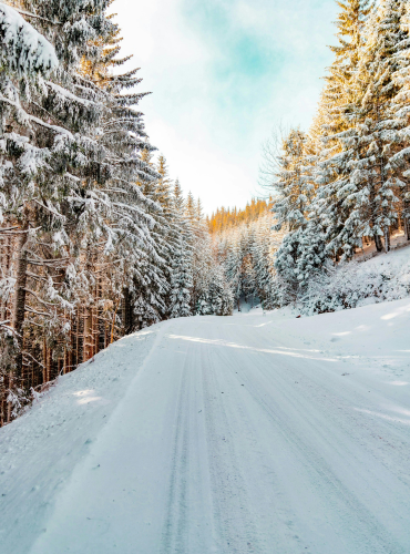 Luminen ajotie kuusimetsän keskellä kirkkaana talvipäivänä